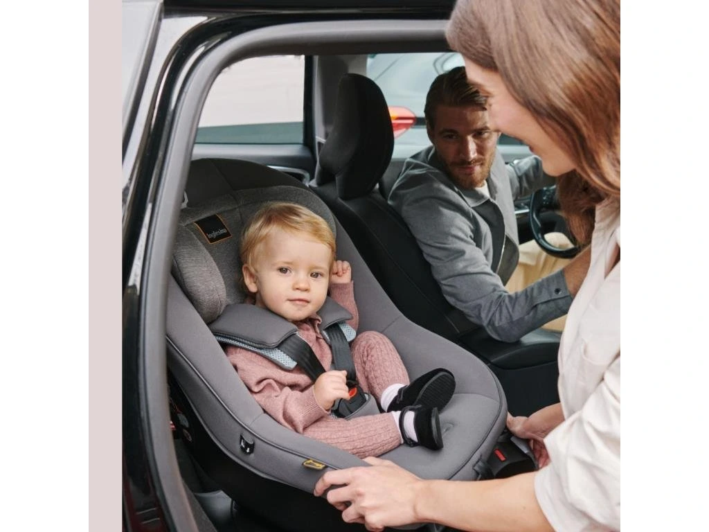 Inglesina Darwin Next Stage I-Size 40-105cm, Moon Grey