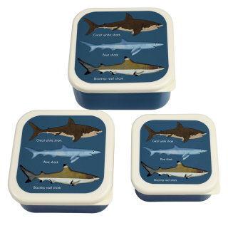 Rex London gyerek uzsonnás doboz szett, BPA mentes, 3db, cápa